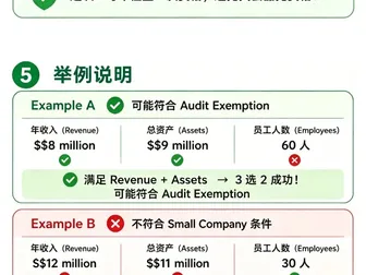 图说财税避坑指南｜符合这两点，新加坡公司可不用出具审计报告